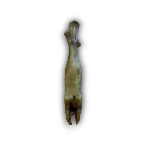 Anco Naturals - Lamb Trotter