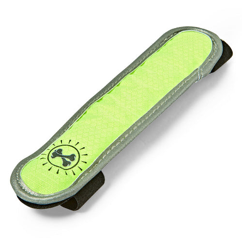 Flashing Safety Dog Collar - Animal Instincts