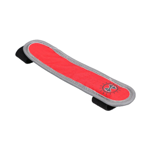 Flashing Safety Dog Collar - Animal Instincts