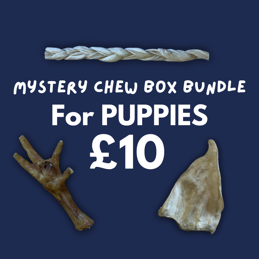 Mystery Chew Bundle - Puppy Dog