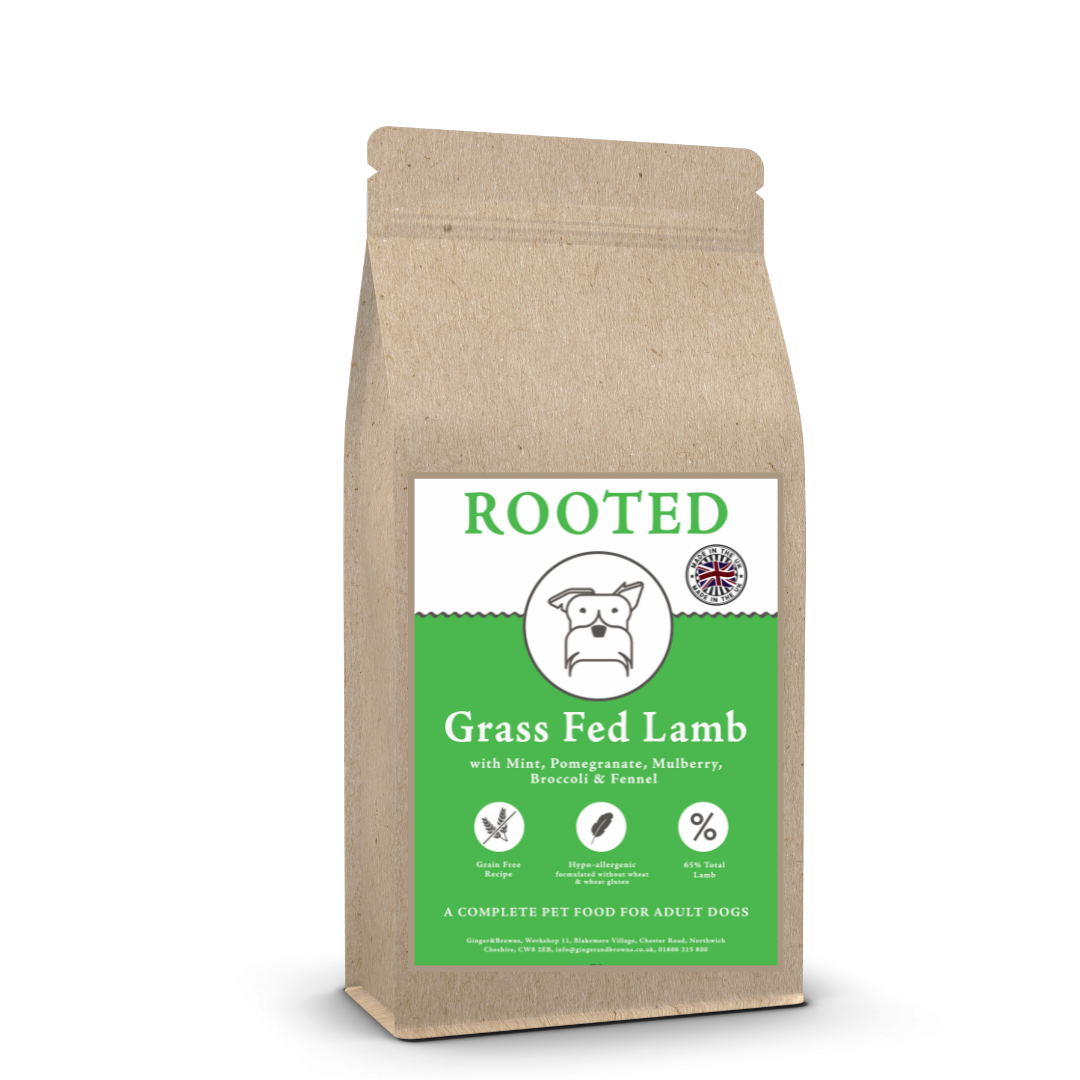 Rooted Dry Food by Ginger&Browns 12KG