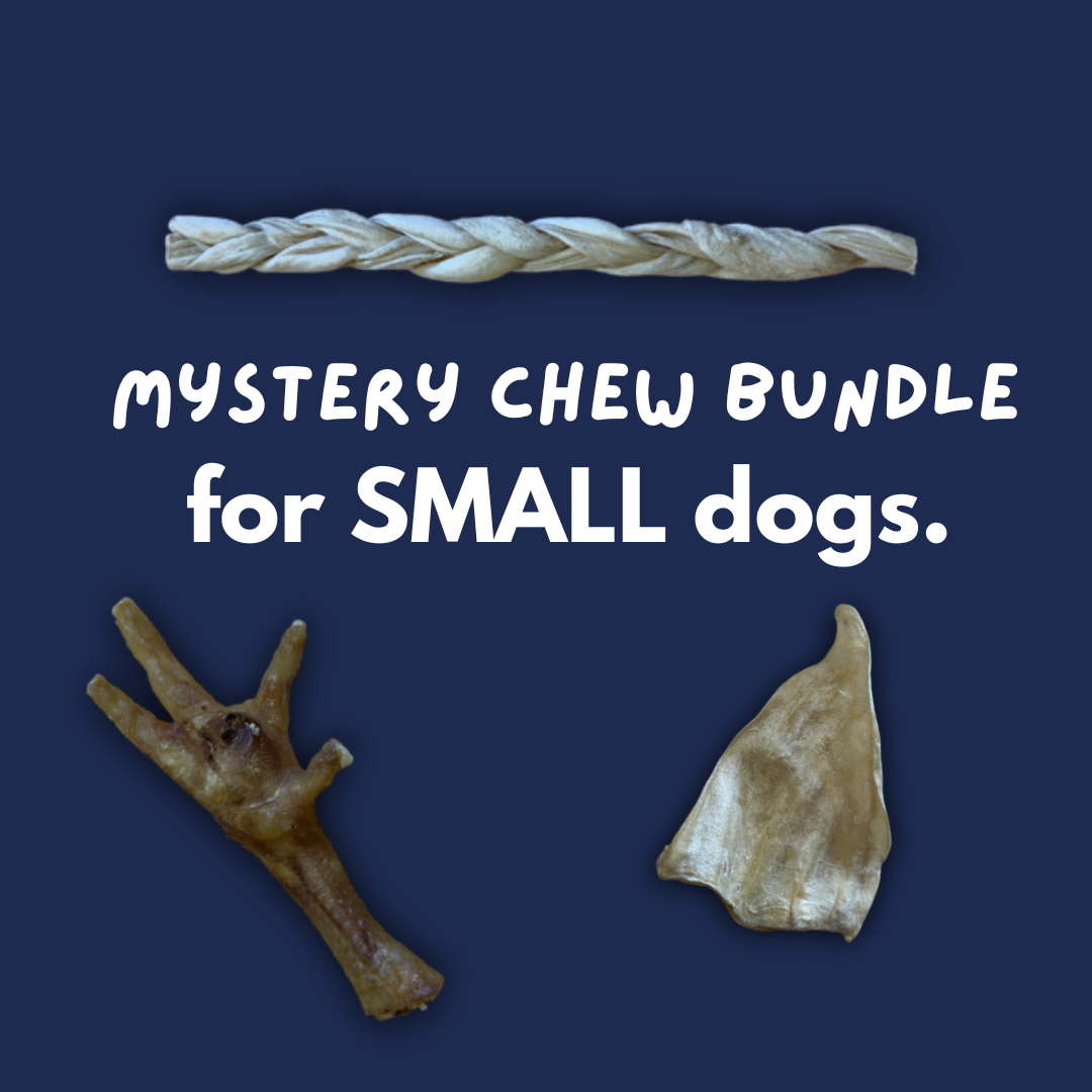 Mystery Chew Bundle - Small Dog