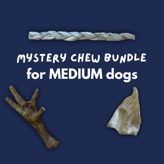 Mystery Chew Bundle - Medium Dog