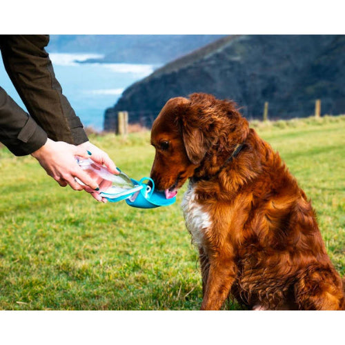 Henry Wag Pet Travel Water Bottle with Leaf Bowl