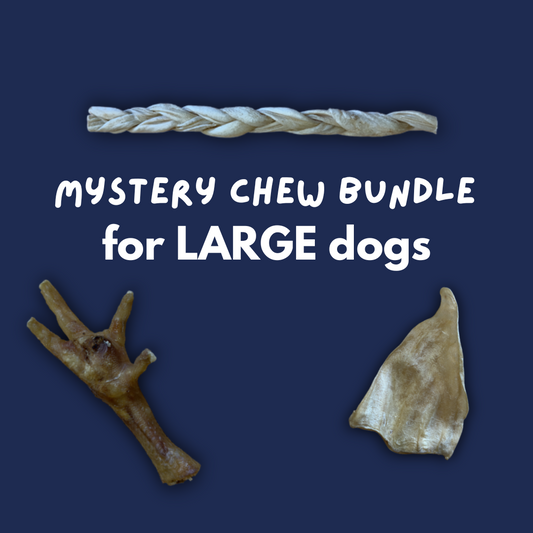 Mystery Chew Bundle - Large Dog