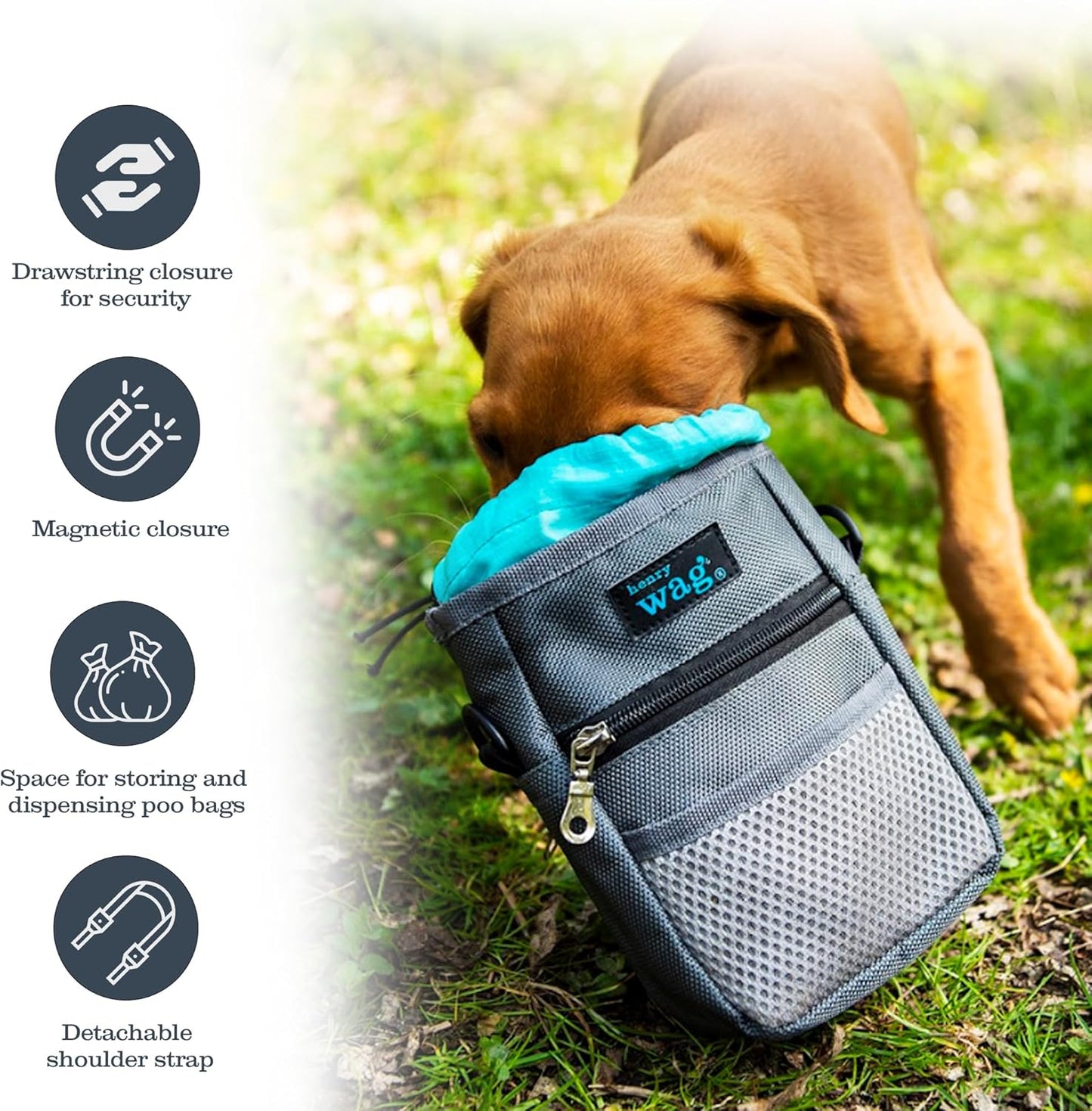 Henry Wag Training Bag