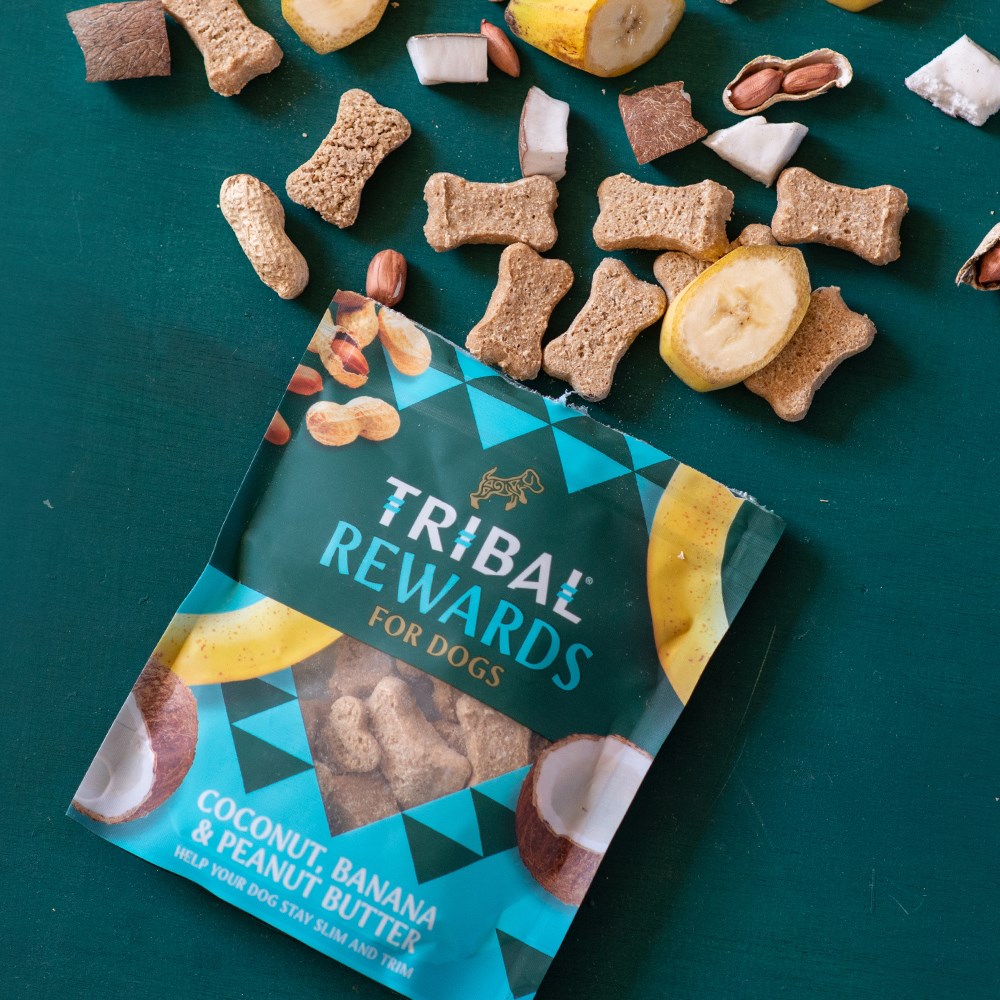 Tribal Natural Dog Biscuits