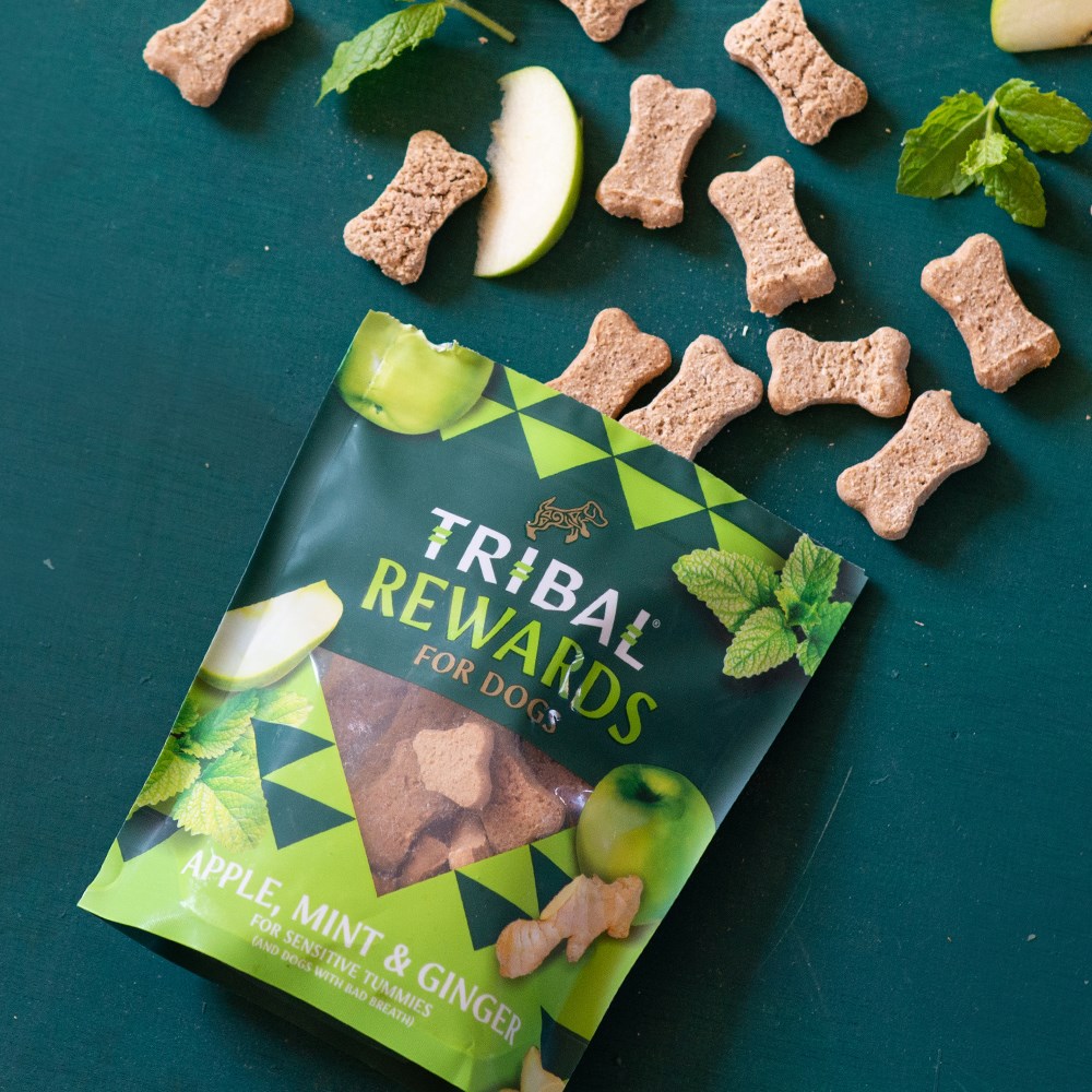 Tribal Natural Dog Biscuits